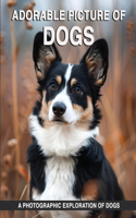 Adorable Picture of Dogs