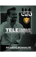 Teletrabajo/Telegerencia: Equipos de Trabajo Virtuales