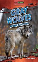 Gray Wolves in Their Ecosystems: (Vital to Earth! Keystone Species Explained)