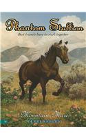 Phantom Stallion #17: Mountain Mare: (17 Phantom Stallion (eBook))
