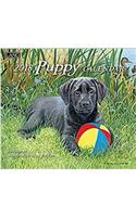 Puppy 2018 Calendar (Deluxe Wall)