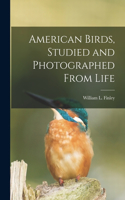 American Birds, Studied and Photographed From Life