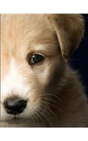 Cute Puppy Notebook