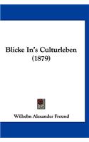 Blicke In's Culturleben (1879)