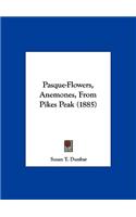 Pasque-Flowers, Anemones, from Pikes Peak (1885)