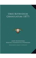 Uber Botrydium Granulatum (1877)