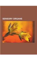 Sensory Organs: Ear, Eye, Skin, Tongue, Retina, Red-Eye Effect, Saccade, Iridology, Iris, Pupil, Tears, Incus, Malleus, Eardrum, Oval