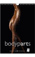 Bodyparts 2017