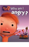What's the Big Idea?: Why Am I Angry?