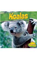 Koalas