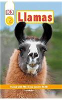 DK Readers Level 2: Llamas