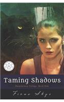 Taming Shadows