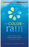 The Color of Rain