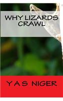 Why Lizards Crawl