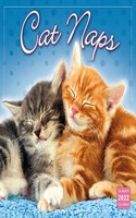 Cat Naps 2022 Wall Calendar 16-Month