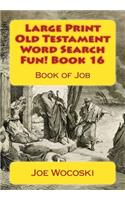 Large Print Old Testament Word Search Fun! Book 16