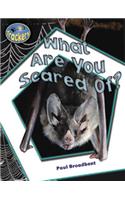What Are You Scared Of?: (Trackers: Math)