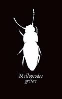 Nelloptodes Gretae Beetle Named After Greta Thunberg - Blank Ruled Journal