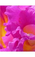 Orchid Flower Notebook - Sketchbook