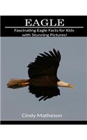 Eagle: Fascinating Eagle Facts for Kids with Stunning Pictures!
