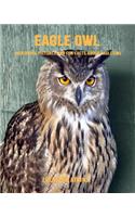 Eagle Owl: Incredible Pictures and Fun Facts about Eagle Owl