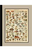 Vintage botanical illustration Journal: Champignons - The large botanical journal for the fungi lover or mycologist