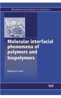 Molecular Interfacial Phenomena of Polymers and Biopolymers