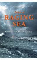 Into a Raging Sea