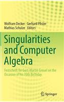 Singularities and Computer Algebra