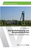 Revitalisierung von Bergwerksbrachen