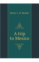 A Trip to Mexico