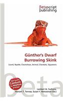 G Nther's Dwarf Burrowing Skink: (English)