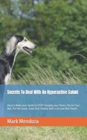 Secrets To Deal With An Hyperactive Saluki