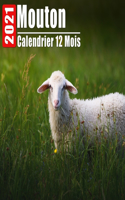 Calendrier 2021 Mouton