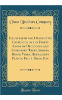 Illustrated and Descriptive Catalogue of the Finest Kinds of Deciduous and Evergreen Trees, Shrubs, Roses, Vines, Herbaceous Plants, Fruit Trees, Etc (Classic Reprint)