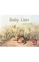 Baby Lion: Leveled Reader Bookroom Package Red (Levels 3-5)