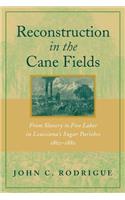 Reconstruction in the Cane Fields