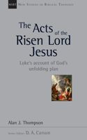 Acts of the Risen Lord Jesus