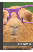 smart guinea pig