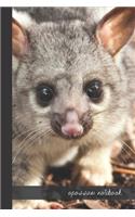 opossum notebook