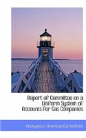 Report of Committee on a Uniform System of Accounts for Gas Companies