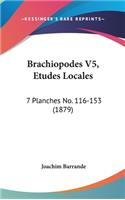 Brachiopodes V5, Etudes Locales: 7 Planches No. 116-153 (1879)