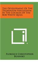 The Development of the Tegmentum Vasculosum in the Cochlea of the Bob-White Quail