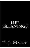 Life Gleanings: (English)