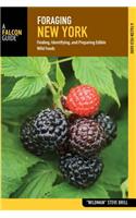 Foraging New York