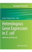 Heterologous Gene Expression in E.Coli