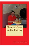 Twenty Hours under The Sea