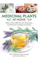 Medicinal Plants at Home