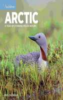 Audubon Arctic Wall Calendar 2023