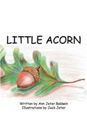 Little Acorn